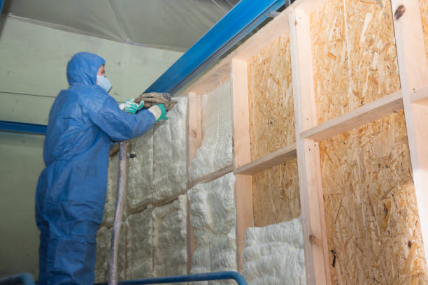 Best Spray Foam Insulation  in Singac, NJ